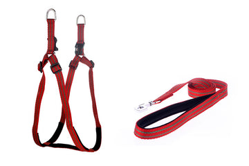 Kennel Padded Nylon Pattern Adjustable Harness & Leash Set (3/4")